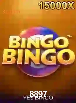 bingobingo